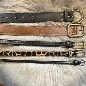 Size 12 Belts Set of 5